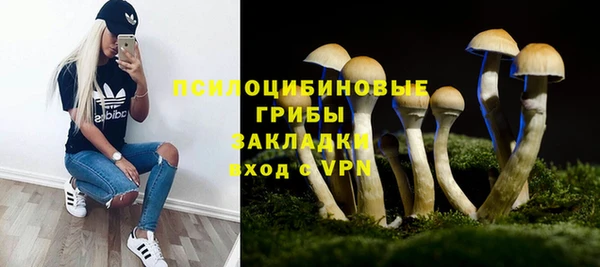 а пвп мука Куйбышев