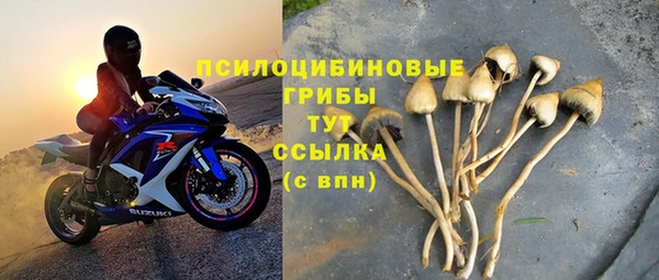 а пвп мука Куйбышев